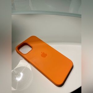 Apple iPhone 12 Case